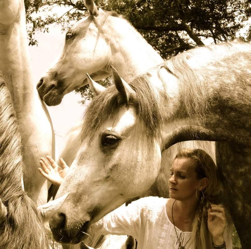 Liberty with 3 Horses - Sylvia Zerbini - Night of the Horse - Del Mar National Horse Show